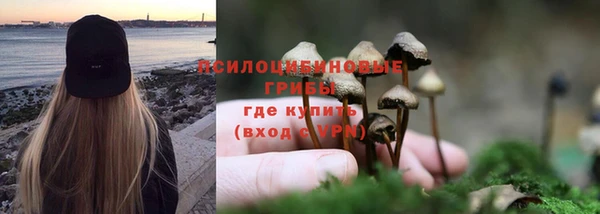 спиды Козельск